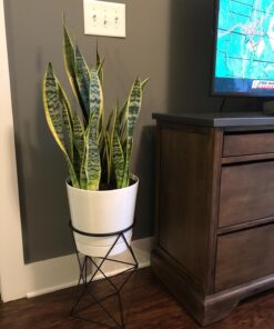 Novelty Majestic Full Depth Round Cylinder Pot, Glossy White, 6-Inch (10062) 28 71e4it5MWOL