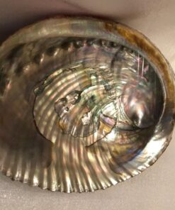 Smudge Kit Spiritual Set, Large Abalone Shell, Complete Sage Smudge Stick Kit, Palo Santo, White Sage Incense for Cleansing, Smudge Feather,Chakra Kit Bracelet, Charitable Positive Vibes Smudging Kit 44 71e6NACWQcL