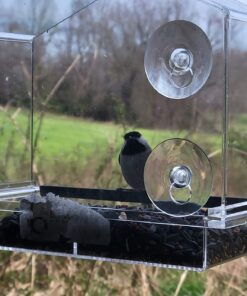 Window Bird Feeders for Outside - Large Bird House Style Window Bird Feeder - Window Bird Feeders with Strong Suction Cups with Drain Holes, Removable Tray, Large Seed Capacity and Rubber Perch 32 71e8XyKqiNL