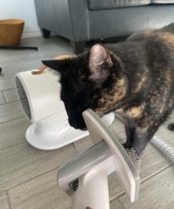 AIRROBO Dog Hair Vacuum & Dog Grooming Kit, 12000Pa Strong Pet Grooming Vacuum, 2L Large Capacity Dog Vacuum for Shedding Grooming Hair, Quiet, 5 Pet Grooming Tools, PG100 42 71e9iVyJFDL