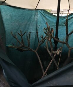 the Planket 11200 10 x 20 ft Frost Protection Plant Cover, Rectangular, Dark green 10 ft x 20 ft 25 71eAgQIYYFL