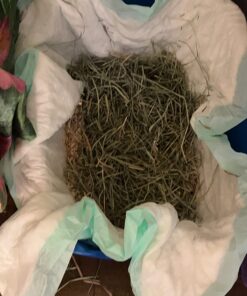 Van Ness Pets Large Open High Sided Cat Litter Box, Blue, CP2HS Pack of 1 29 71eBDfPq3NL