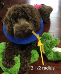 KONG - Cloud Collar - Plush, Inflatable E-Collar - For Injuries, Rashes and Post Surgery Recovery - For Medium Dogs/Cats Standard Packaging 29 71eCB4bqTcL