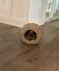 Oxbow Animal Health Timothy Hay Bungalow - Large Large (Pack of 1) 21 71eD9YXKoKL