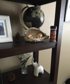 Joseph's Studio 4.25 Inch Tall Sleeping Baby in Wings Figurine 26 71eD9qOC9NL