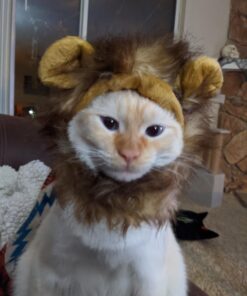 Pet Krewe Cat Lion Mane Halloween Costume – Fits Neck Size 8”-14 - Lion Costume for Small Cats and Kittens – Ideal for Halloween, Cat Birthday, Cat Cosplay, Cat Outfits, Pet Clothes One size fits all 45 71eEIeRijeL