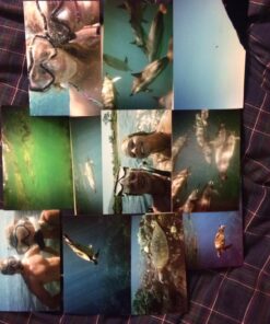 Fujifilm Quick Snap Waterproof 35mm Single Use Camera, 4 Pack (Blue/Green/White) 5 71eH4Fz265L 1