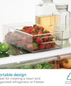 iDesign Plastic Portable Deep Storage Bin with Handles for Organizing Refrigerator, Freezer, Pantry, BPA-Free,8" x 4" x 14.5", Clear 1 Pack 23 71eLg7rdtDL