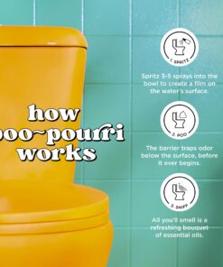 Poo-Pourri Before-You-Go Toilet Spray, Original Citrus, Travel Size 10 mL - Lemon, Bergamot and Lemongrass, 0.34 Fl Oz (Pack of 1) 0.34 Fl Oz (Pack of 1) 18 71eMLQurMIL