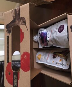 LEMONKIND 1-Day CORE Cleanse: Kickstart Weight Management & Banish Bloating - Effortless Detox with Plant-Based, Non-GMO and Gluten-Free Juices - 8 Refreshing Flavors Core Cleanse (1 Day) 40 71eO6p01FL