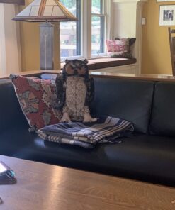 Melissa & Doug Giant Owl - Lifelike Stuffed Animal (17 inches tall) , Brown 31 71ePqUf4PL