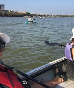 Shoreline Marine 96-Inch Rounded Kayak Paddle 1.0 33 71eQzHRZ cL