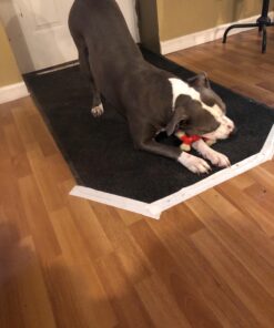 Nylabone Power Chew Double Bone Long Lasting Chew Toy for Dogs Medium - Up to 30 lbs. Medium up to 35 lbs. 41 71eSGo5zKL