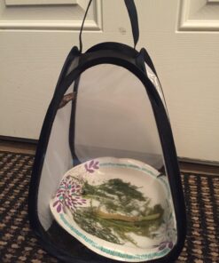 RESTCLOUD Mini Butterfly Habitat, Insect Mesh Cage, Bug Terrarium Pop Up 7.5" x 11" Tall 7.5" x 11" 32 71eTA3toSPL