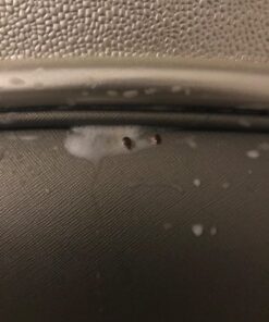 Ortho Home Defense Dual-Action Bed Bug Killer Aerosol, 18 oz. 1.13 Pound (Pack of 1) 16 71eVMPzpxNL