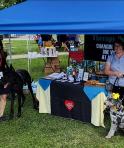 Crown Shades 10x10 Pop up Canopy Outside Canopy, Patented One Push Tent Canopy with Wheeled Carry Bag, Bonus 8 Stakes and 4 Ropes, Blue 51 71eVNM 2cbL
