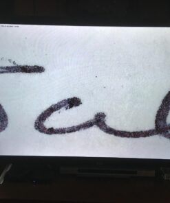 Celestron - 5 MP Digital Microscope Pro - Handheld USB Microscope Compatible with Windows PC and Mac - 20x-200x Magnification - Perfect for Stamp Collecting, Coin Collecting Handheld Digital Microscope Pro 69 71eVYhLPvbL