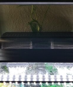 Marineland Penguin Bio-Wheel Power Filter 50 - 75 Gallon Aquarium, 350 GPH 22 71eWPPetKL