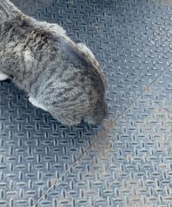 Purina Cat Chow Naturals With Added Vitamins, Minerals and Nutrients Dry Cat Food, Naturals Original - 13 lb. Bag Chicken & Salmon 13.00 Pound (Pack of 1) 33 71eX5uinGuL