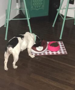 Torus Pet Maxi Filtered Water Bowl (Red) - 2-Liter - Travel - Home - Auto-Fill - Powerless Portable Dispenser – Food Grade – Antimicrobial - BPA-Free - Dog – Cat – No Spill - No Splash Red 30 71eX9p46SPL