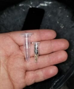 Globe Scientific DLS111558 Polypropylene Graduated Microcentrifuge Tube with Snap Cap, Natural, 1.5mL Capacity, Pack of 1000 9 71ea9PGe2IL