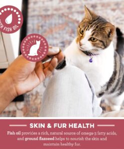 FELINE GREENIES SMARTBITES Skin & Fur Crunchy and Soft Natural Cat Treats, Chicken Flavor, 2.1 oz. Pack 2.1 Ounce (Pack of 1) 27 71eau o1u4L 1