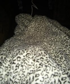 Sunbeam Royal Ultra Walnut Heated Personal Throw / Blanket, Cozy-Warm, Adjustable Heat Settings 34 71ec7zkwxzL