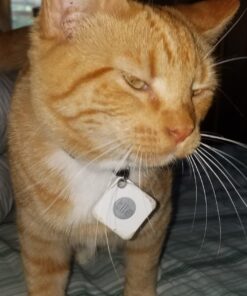 Tile Mate (2016) - 4 Pack - Discontinued by Manufacturer 31 71ecO1BB6LL