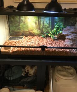 Ameriwood Home Parsons End Table, Black 44 71ecgWVztgL