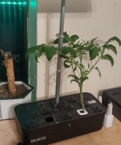 Indoor Garden Hydroponics Growing System, DUESI Upgrade 12 Pods Plant Germination Herb Kit with LED Grow Light, Hydrophonic Planter Grower Harvest Vegetable Lettuce for Hydroponic Gardeners (12 Pods) 41 71efQ3uuObL