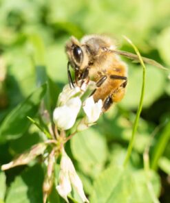Meike MK-S-AF3B Auto Focus Extension Tube 10mm 16mm For Sony A7 A7M2 NEX 3 NEX 5 NEX 6 A6600 A5000 A6000 A6100 A6300 A6400 A6500 A9 48 71eh5rTm2EL