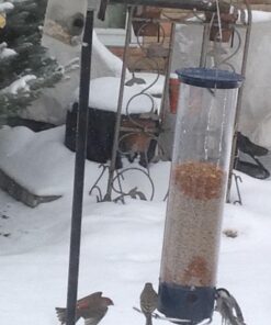 Droll Yankees 21964205201 787461785928 Squirrel Proof Bird Feeder, Yankee Whipper, 28-Inch, 4 P, Evening Blue 23 71elrP83BSL