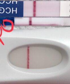 Pregmate 50 Pregnancy Test Strips (50 Count) 50 Count 52 71en0BlE PL