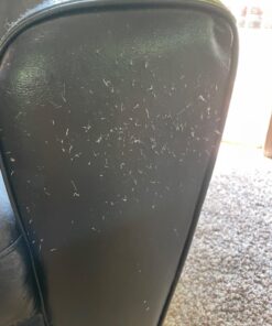 The Original Leather Recoloring Balm by Furniture Clinic - 16 Color Options - Leather Repair Kit for Furniture - Restore Couches, Car Seats, Clothing - Non-Toxic Leather Repair Cream (Black) Black 34 71eoBlmUmiL