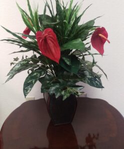 Nearly Natural 6678 Mixed Greens and Anthurium with Vase Decorative Silk Plant, Green 35 71epWEqMa1L