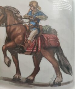 The Legend of Zelda: Breath of the Wild--Creating a Champion 36 71erxe8ALYL