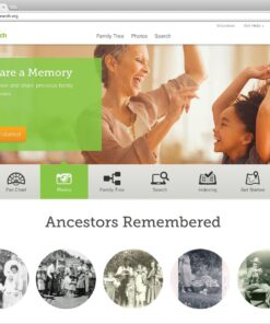 Individual Software Family Tree Heritage Platinum 9 PC Disc No 14 71eu2oYUnbL