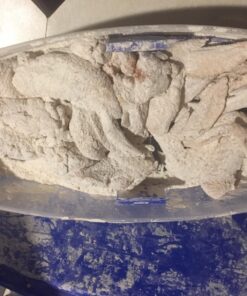 COOK'S CHOICE XL Original Better Breader Batter Bowl- All-in-One Mess Free Breading Station Tray for at Home or On-the-Go - Pour in Seasoning, Add Meat or Vegetables of Choice, & Just Shake 39 71evrflmKL 1