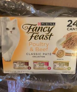 Purina Fancy Feast Tender Chicken and Liver Feast Classic Grain Free Wet Cat Food Pate - (24) 3 oz. Cans Liver & Chicken 3 Ounce (Pack of 24) 33 71f gALzR6L 2