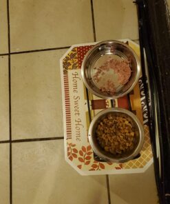 Purina Fancy Feast Salmon Feast Classic Grain Free Wet Cat Food Pate - (24) 3 oz. Cans 3 Ounce (Pack of 24) 39 71f1KwFHxTL
