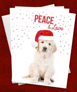 Canopy Street Labrador Love Holiday Card Pack / 25 Cards And Envelopes Pack/Festive Santa Hat Puppy Design With Greeting Inside/Dog Christmas And New Year Cards 16 71f4i6IKDQL