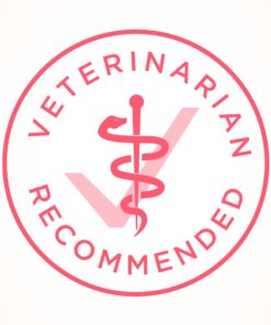 Purina ONE High Protein, Natural Dry Kitten Food, +Plus Healthy Kitten Formula - 16 lb. Bag Dry Food Chicken 16.00 Pound (Pack of 1) 28 71f567UKCTS