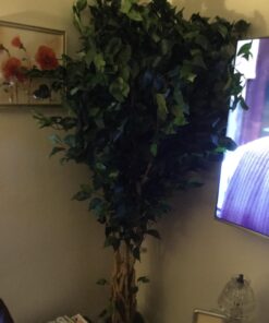 Nearly Natural 6' Palace Style Silk Artificial Ficus Tree, 6ft, Green 5216 6 ft 33 71f9DkVtyBL