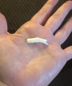 Better Shea Butter Raw Mango Butter - 100% Natural Mango Seed Butter - Skin and Hair Moisturizer - Use with Shea in DIY Whipped Body Butter, Mango Body Lotion, Lip Gloss and Soap Making, 8 oz Block Bar 8 Ounce (Pack of 1) 33 71fBqp0haiL