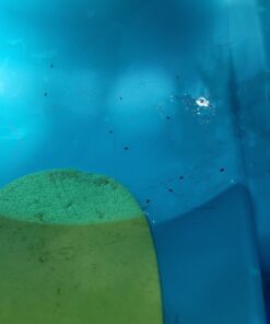 Adams Plus Flea & Tick Shampoo with Precor for Cats, Kittens, Dogs & Puppies Over 12 Weeks Of Age Sensitive Skin Flea Treatment | Kills Adult Fleas, Flea Eggs, Ticks, and Lice 12 Ounces Shampoo Only 40 71fDaMqwiWL 1