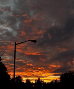 Nikon Coolpix L340 20.2 MP Digital Camera with 28x Optical Zoom and 3.0-Inch LCD (Black) Base 70 71fESe8KbcL