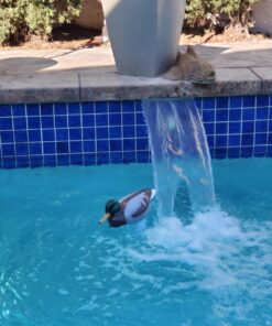 Poolmaster Adustable Chlorine Dispenser for Swimming Pools and Spas, Mallard 41 71fG5B7I1PL