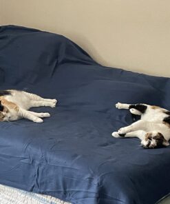 Sunbeam Royal Ultra Fleece Heated Electric Blanket Twin Size, 84" x 62", 12 Heat Settings, 12-Hour Selectable Auto Shut-Off, Fast Heating, Machine Washable, Warm and Cozy, Admiral Blue Royal Ultra Blanket 28 71fItMg5HfL