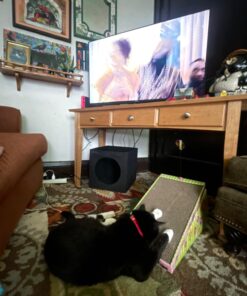 Petmate FAT CAT Big Mama's Scratch 'n Play Ramp Reversible Cardboard Toy 25 71fO1arYxtL