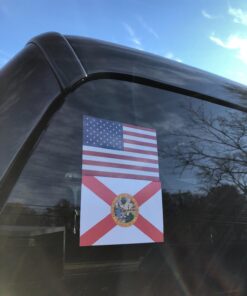 United States Heavy Duty Vinyl Bumper Sticker (3 x 5 Inches) 28 71fOTjVvDL